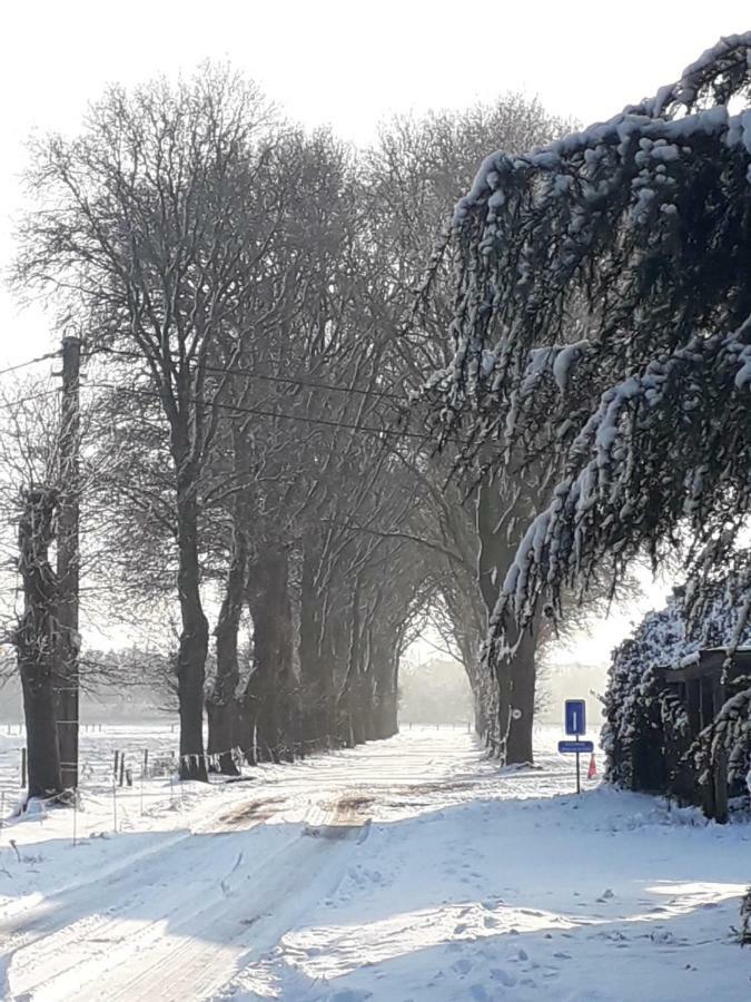 Hauwaertshoeve Beernem Exteriör bild